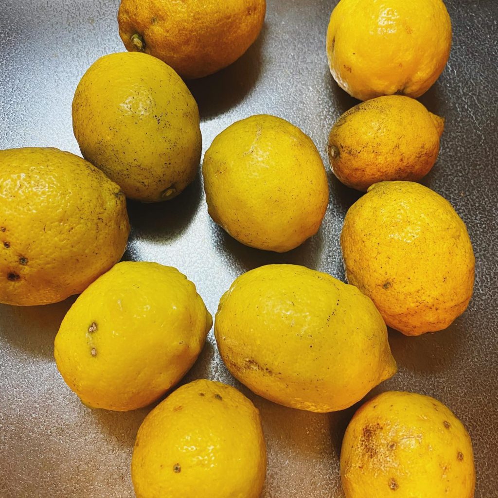 皆さま、いかがお過ごしですか?