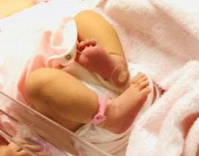 またまたベビーラッシュ!